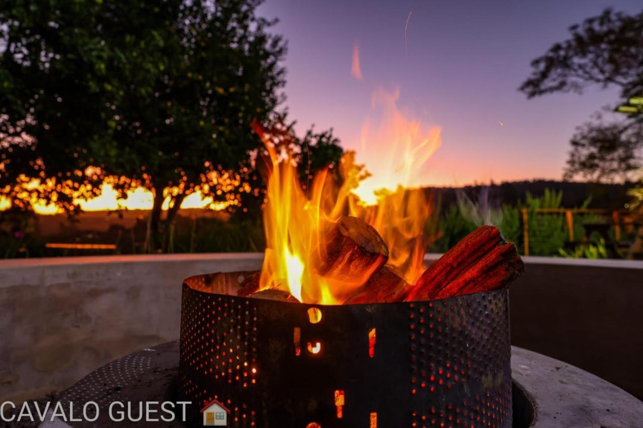 Cavalo Guesthouse & Equestrian Estate Drummond Экстерьер фото