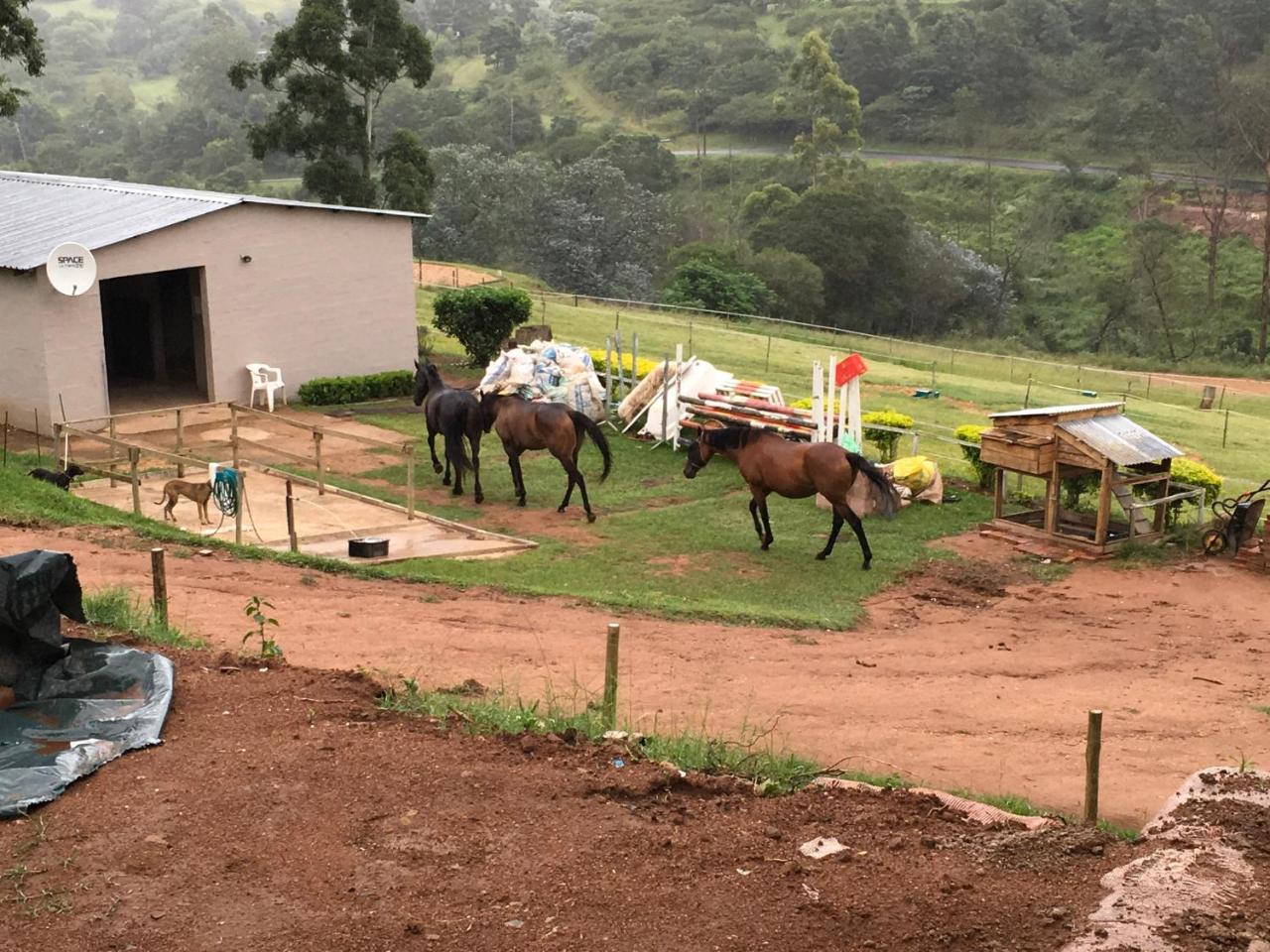 Cavalo Guesthouse & Equestrian Estate Drummond Экстерьер фото